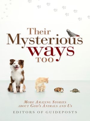 cover image of Their Mysterious Ways Too